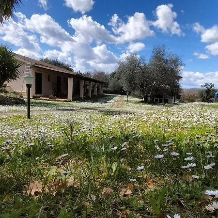 Agriturismo Bio Pian Dei Casali Saturnia Eksteriør bilde