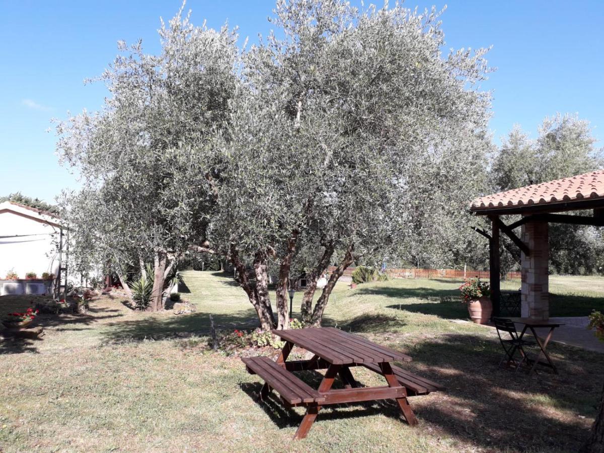 Agriturismo Bio Pian Dei Casali Saturnia Eksteriør bilde