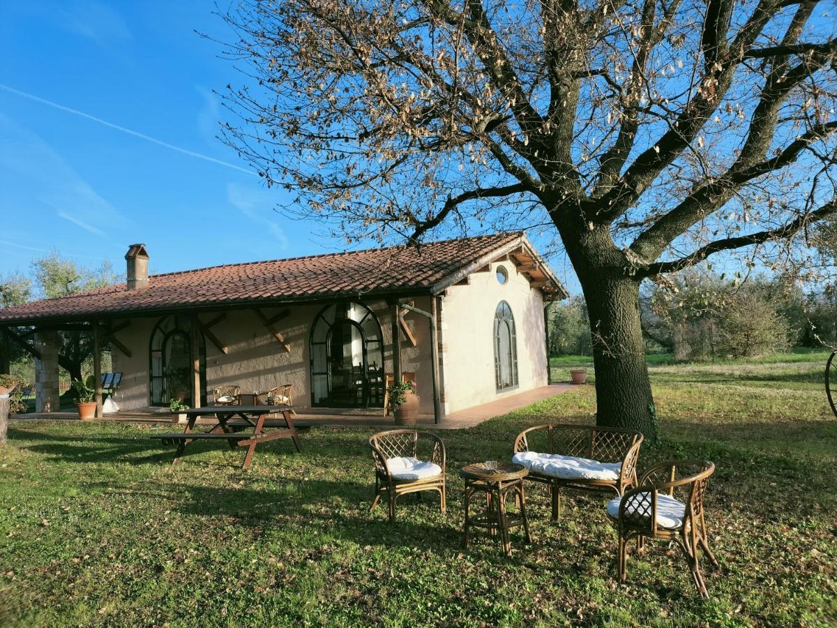 Agriturismo Bio Pian Dei Casali Saturnia Eksteriør bilde