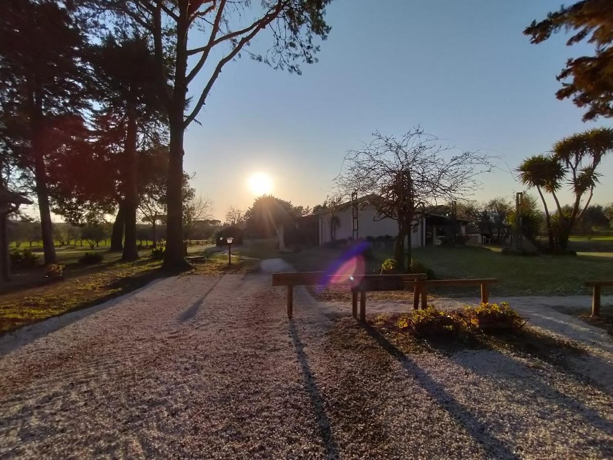 Agriturismo Bio Pian Dei Casali Saturnia Eksteriør bilde
