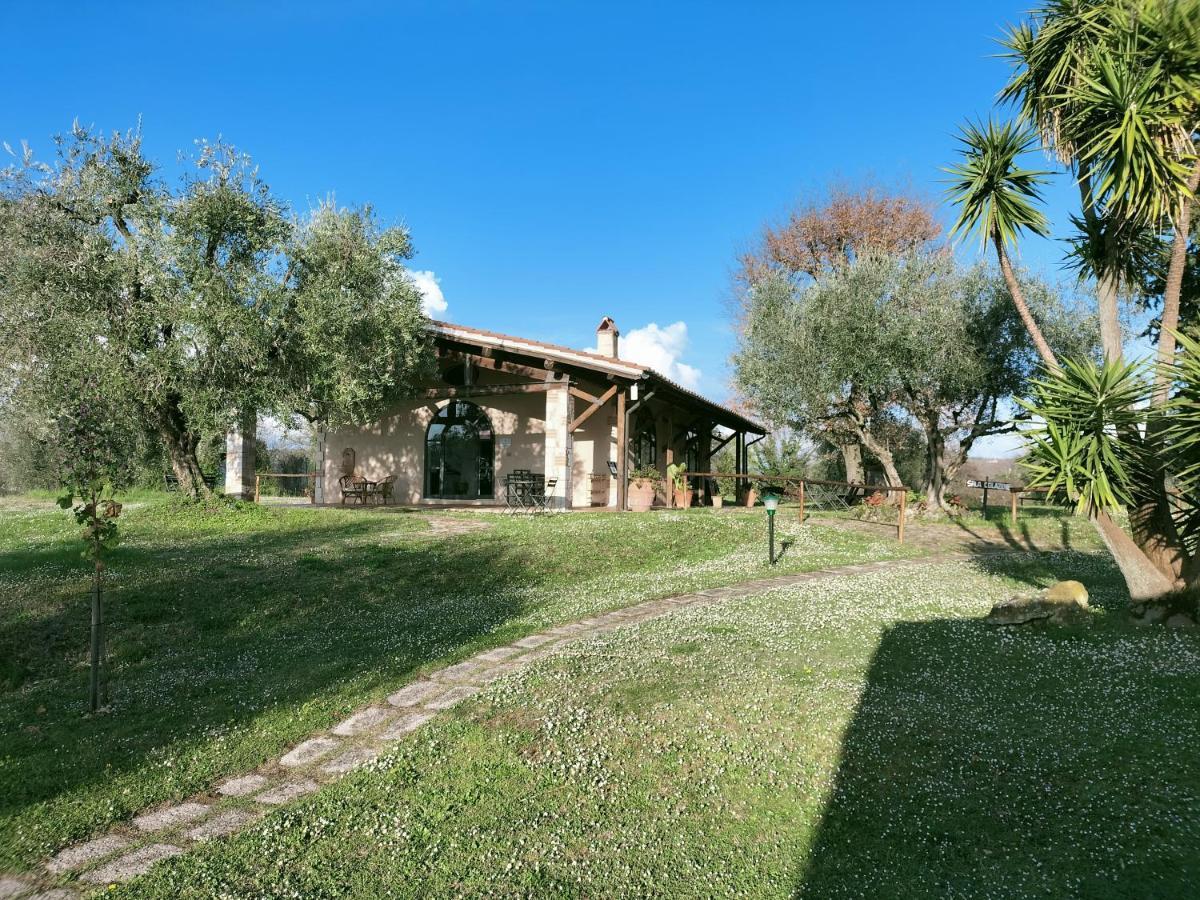 Agriturismo Bio Pian Dei Casali Saturnia Eksteriør bilde