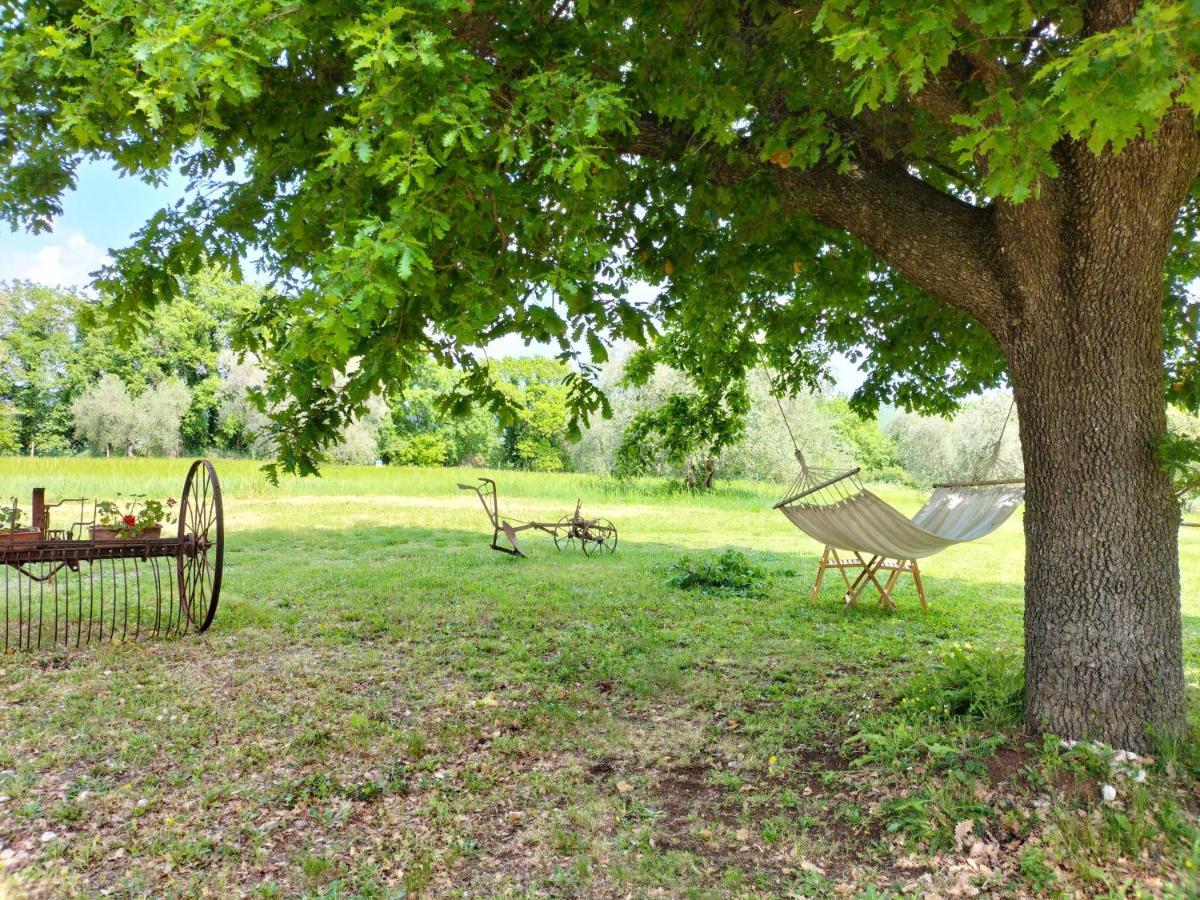 Agriturismo Bio Pian Dei Casali Saturnia Eksteriør bilde