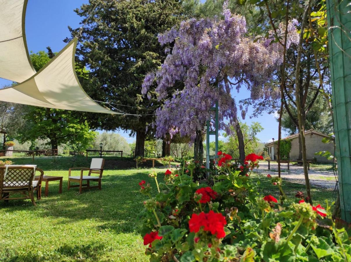 Agriturismo Bio Pian Dei Casali Saturnia Eksteriør bilde