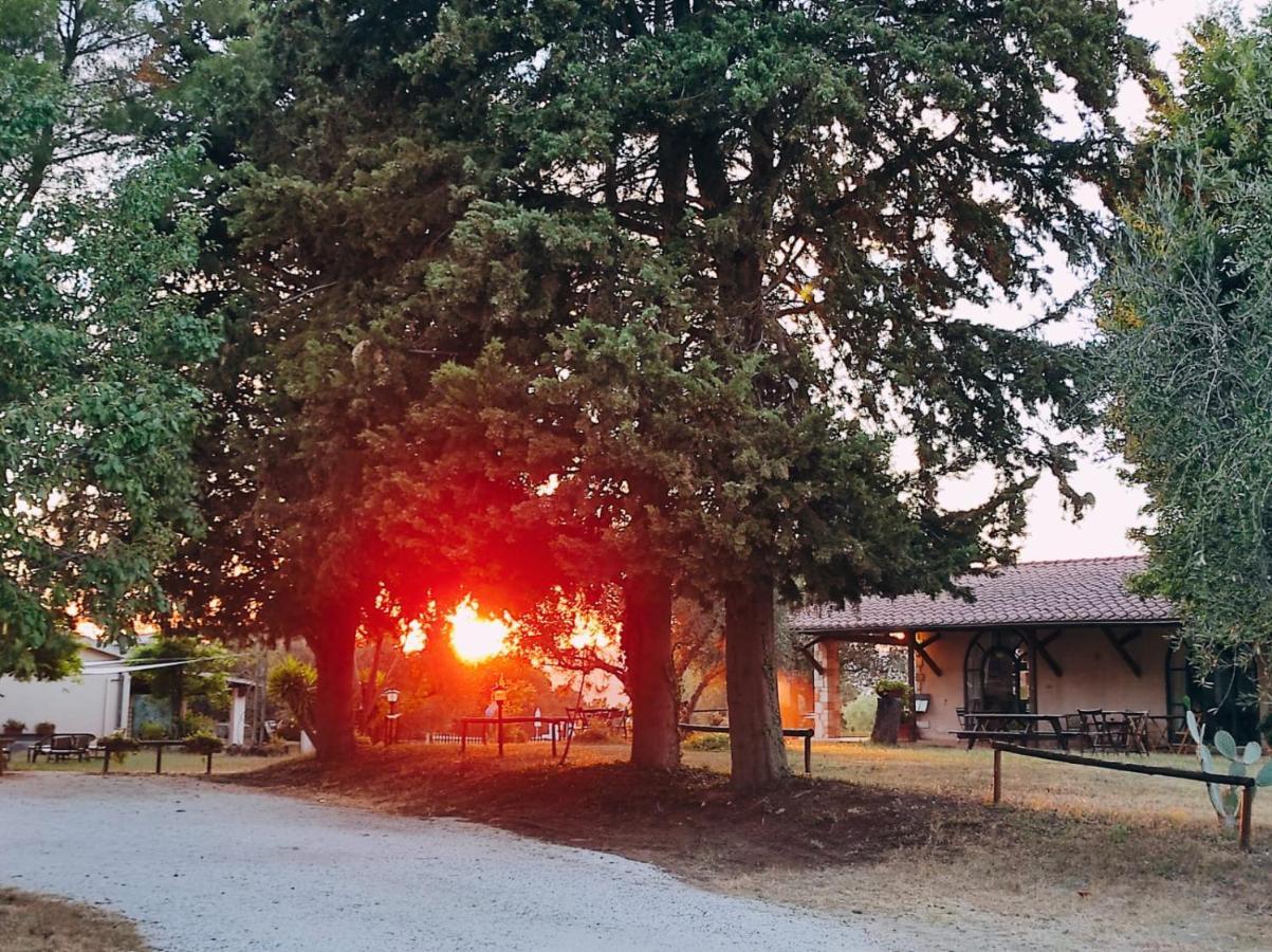 Agriturismo Bio Pian Dei Casali Saturnia Eksteriør bilde