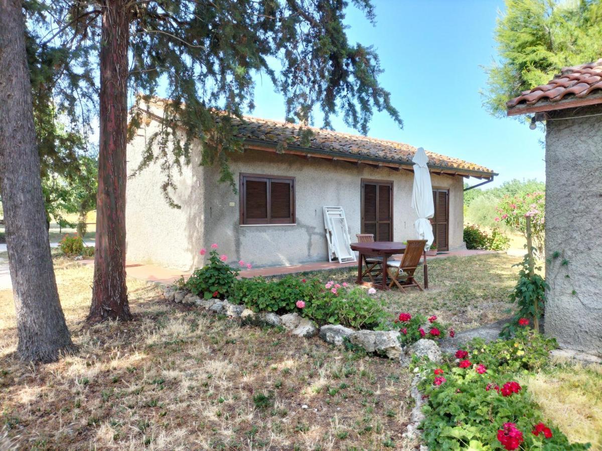 Agriturismo Bio Pian Dei Casali Saturnia Eksteriør bilde