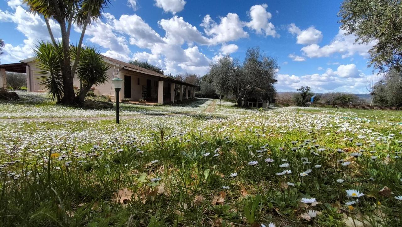 Agriturismo Bio Pian Dei Casali Saturnia Eksteriør bilde