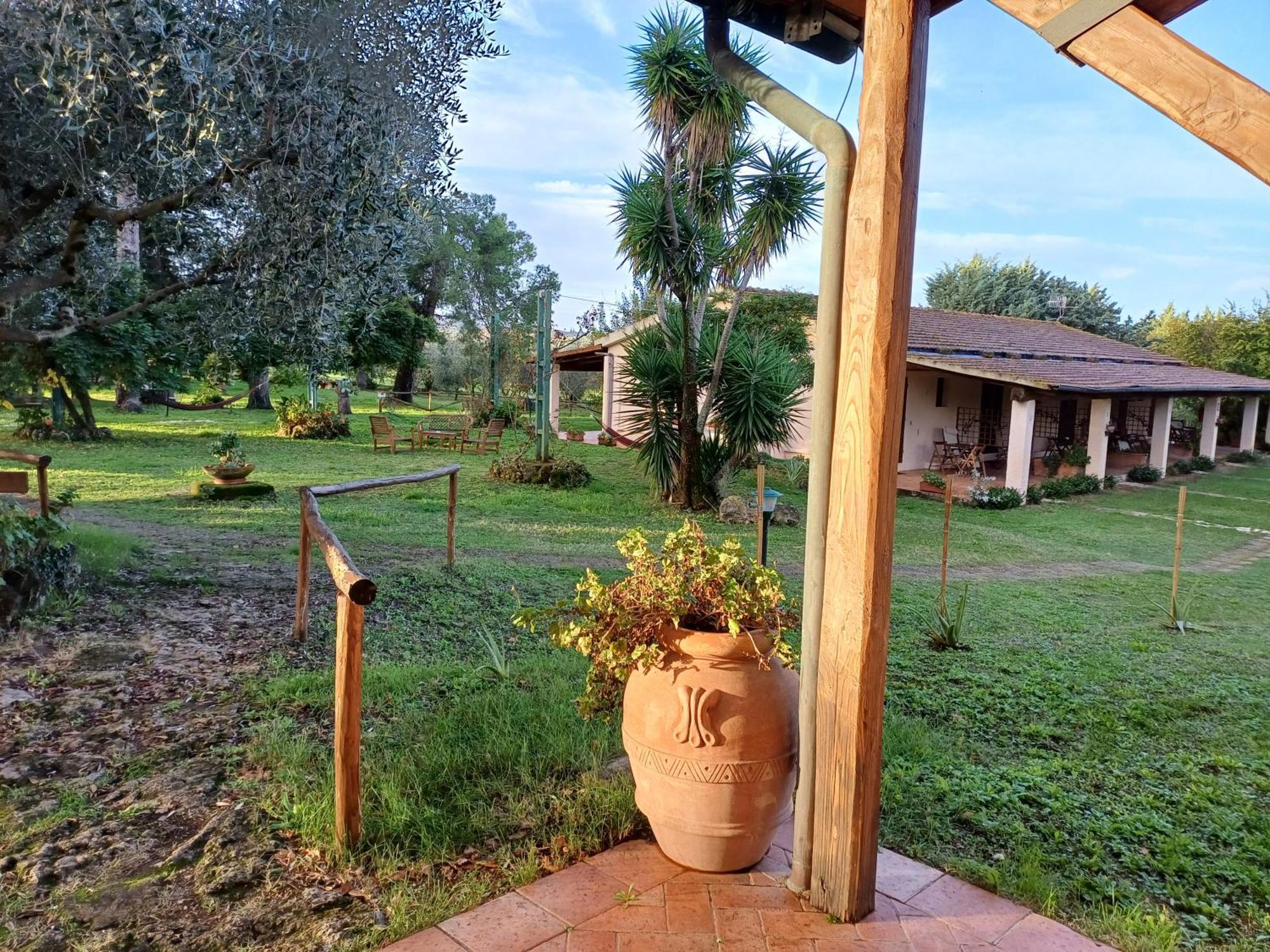 Agriturismo Bio Pian Dei Casali Saturnia Eksteriør bilde