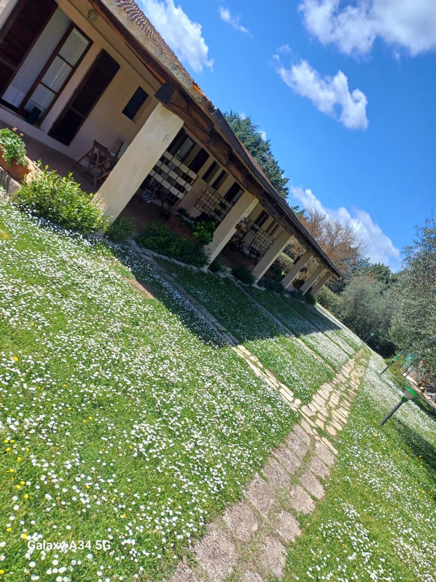 Agriturismo Bio Pian Dei Casali Saturnia Eksteriør bilde