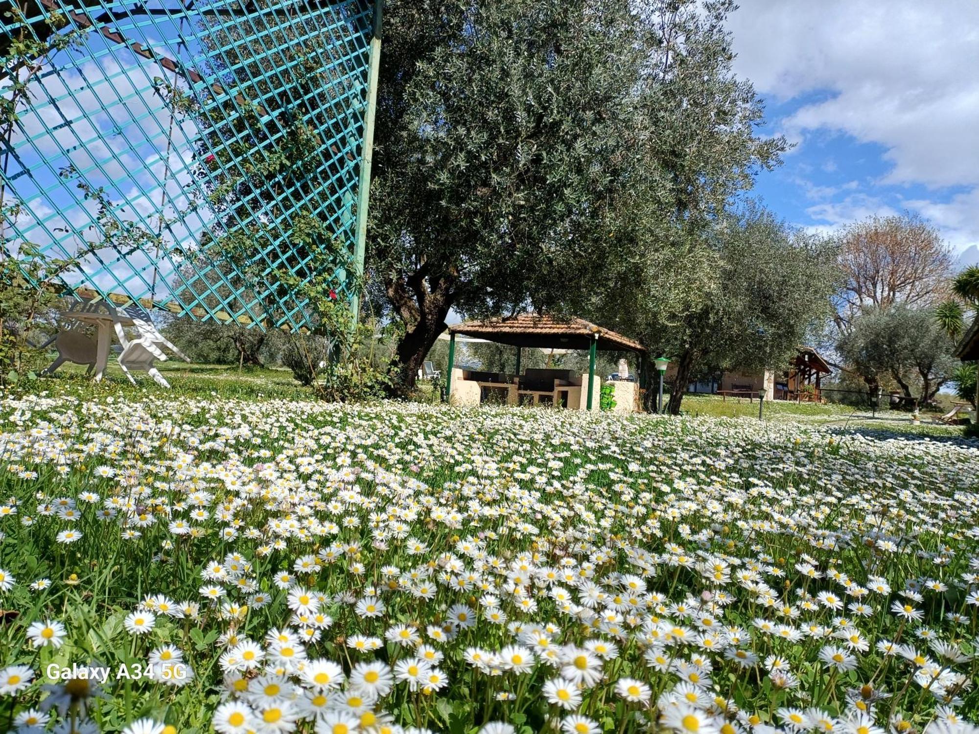 Agriturismo Bio Pian Dei Casali Saturnia Eksteriør bilde