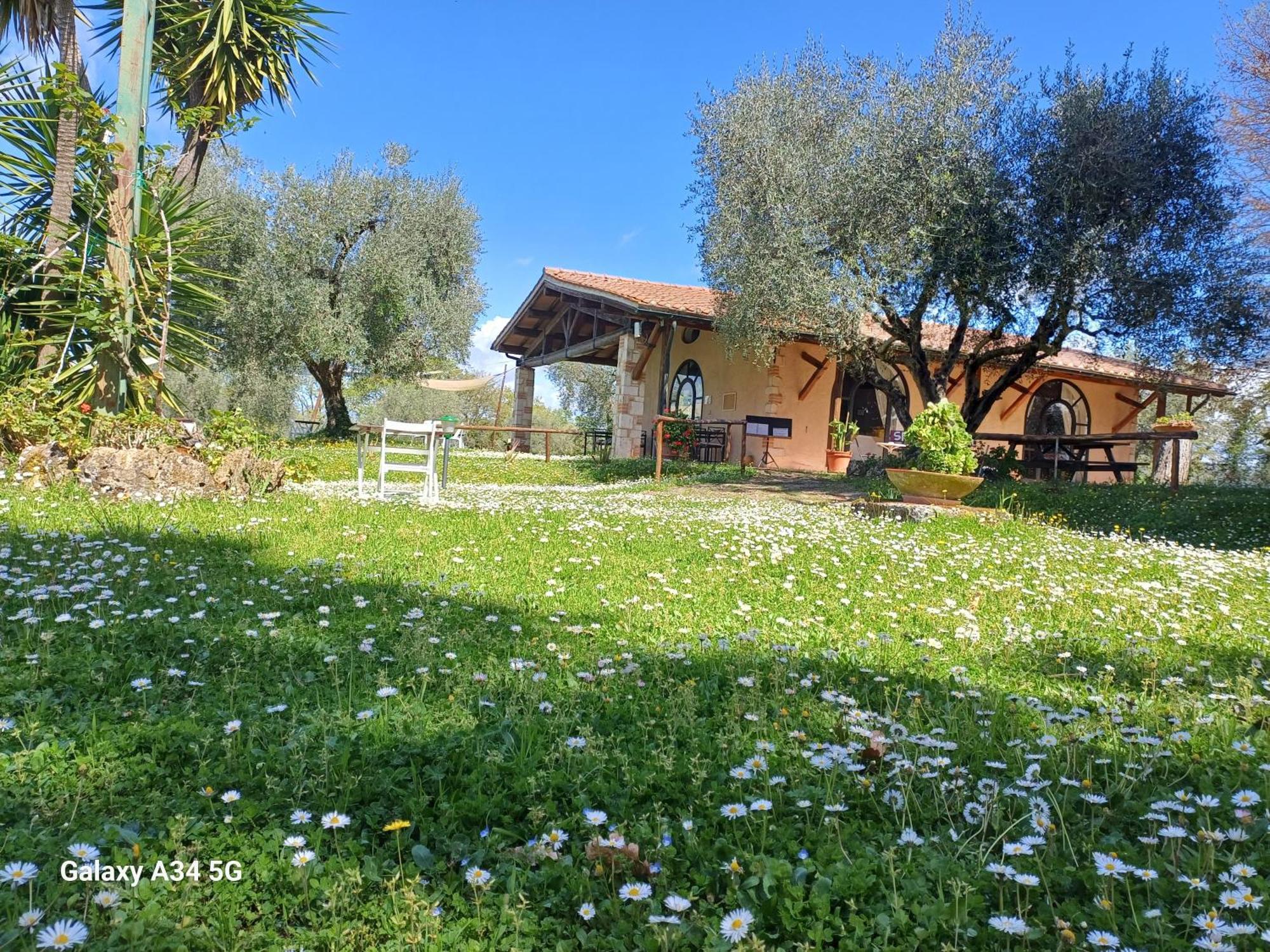 Agriturismo Bio Pian Dei Casali Saturnia Eksteriør bilde