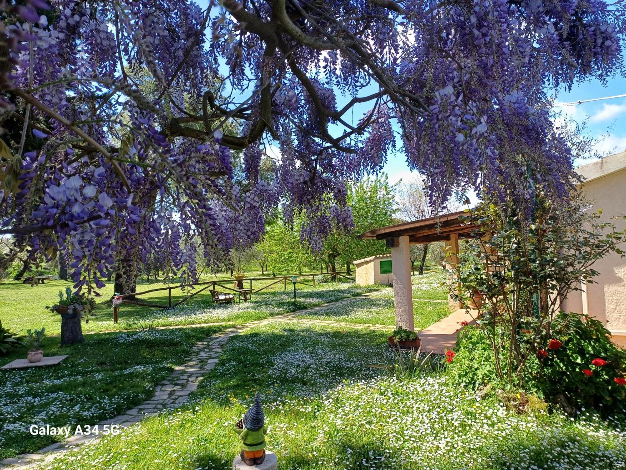 Agriturismo Bio Pian Dei Casali Saturnia Eksteriør bilde