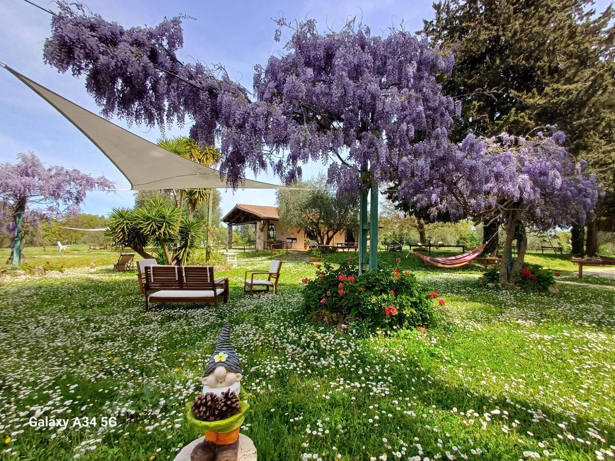 Agriturismo Bio Pian Dei Casali Saturnia Eksteriør bilde